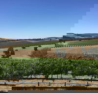 Peerick Vineyard and Winery - Kawana Tourism