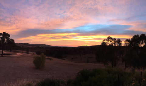 Peerick Vineyard And Winery - Kawana Tourism 1