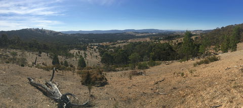 Peerick Vineyard And Winery - Kawana Tourism 2