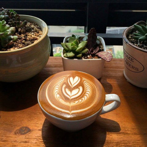 V Espresso - Kawana Tourism 0