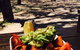 Holidays Cafe - thumb 0