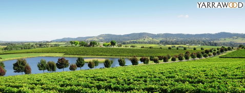 Yarrawood Estate - Kawana Tourism 2
