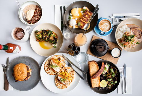 Teddy Picker's - Kawana Tourism 0