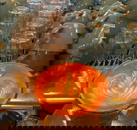 The Trail - Kawana Tourism