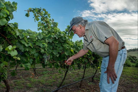 Vale Creek Wines - Kawana Tourism 2