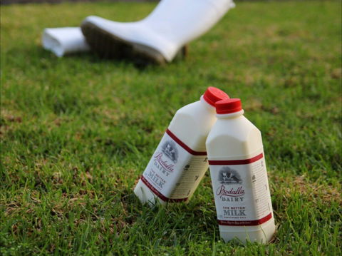 Bodalla Dairy - Cheese, Milk And Ice Cream Factory And Cafe - Kawana Tourism 0