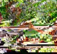 Jaques Coffee Plantation