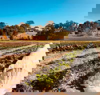 Synchronicity Farm - Kawana Tourism