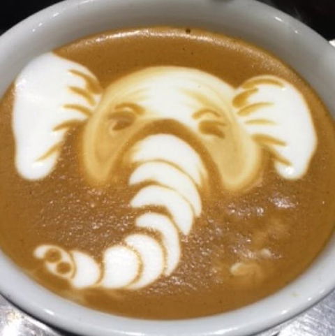 Cafenatics - Docklands - Kawana Tourism 0