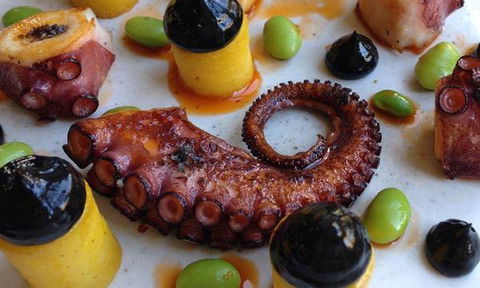 Sault - Kawana Tourism 12