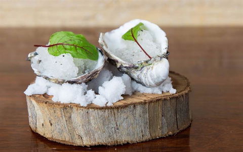 The Tadka Club - Kawana Tourism 23