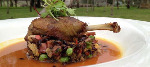 The Tadka Club - Kawana Tourism 2