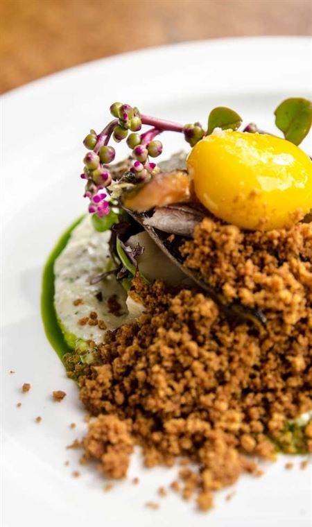 The Tadka Club - Kawana Tourism 4