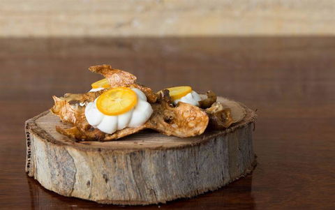 The Tadka Club - Kawana Tourism 6