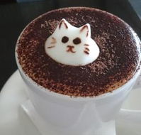 Cafe 2340 - Kawana Tourism