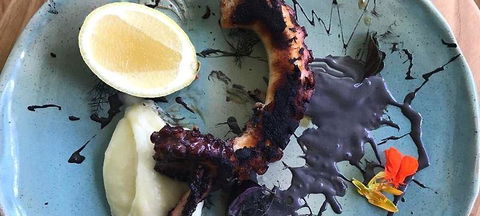 Potager - Kawana Tourism 0