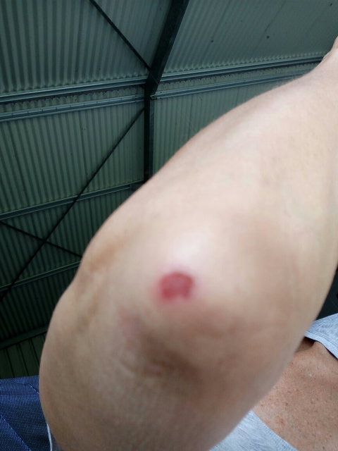 Bruno's Bne - Kawana Tourism 2