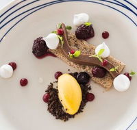Wild Herring - Kawana Tourism