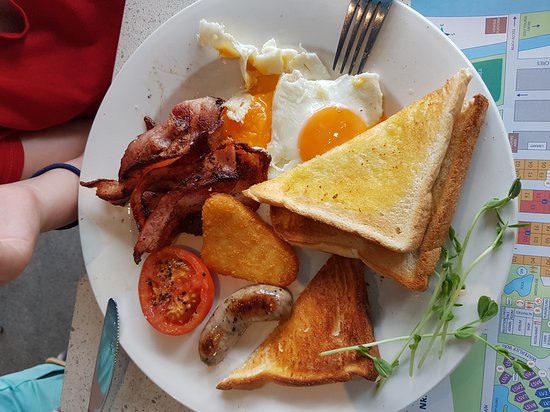 Arrawarra Headland NSW Kawana Tourism