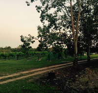 Brierley Wines - Kawana Tourism