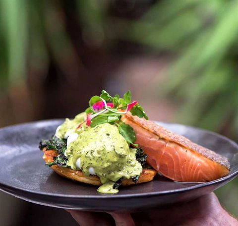 Armchair Collective - Kawana Tourism 9