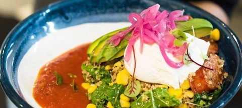 Armchair Collective - Kawana Tourism 10