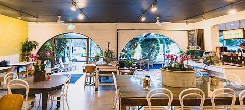 Armchair Collective - Kawana Tourism 2