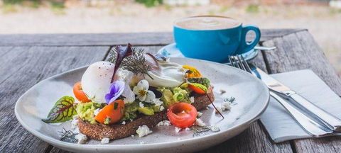 Armchair Collective - Kawana Tourism 3