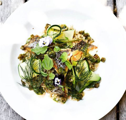 Armchair Collective - Kawana Tourism 7