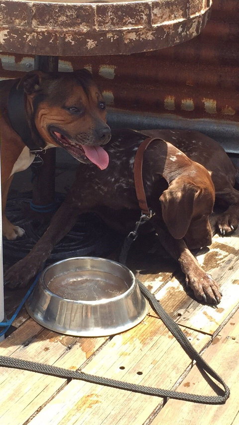 La Barista Cafe - Kawana Tourism 3