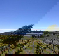 Barringwood Vineyard and Cellar Door Restaurant - Kawana Tourism