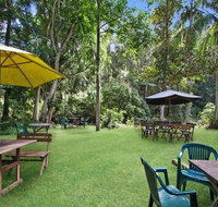 Rainforest - Kawana Tourism