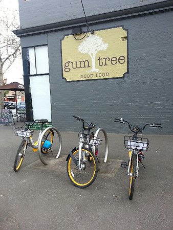 Gum Tree Good Food - Kawana Tourism 0