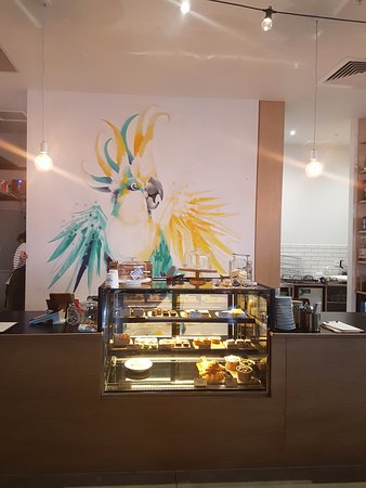 Freshwater Creek ACT Kawana Tourism
