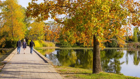 Crowne Plaza Canberra - Kawana Tourism 17