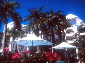 Alamanda Palm Cove - Kawana Tourism 1