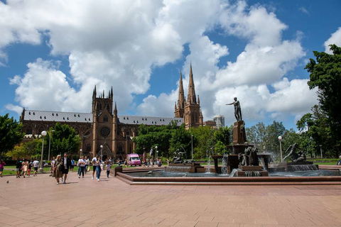 YEHS Hotel Sydney Harbour Suites - Kawana Tourism 16
