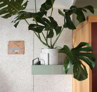 ACE Hotel Sydney - Kawana Tourism