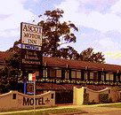 Golden Chain Ascot Motor Inn - Kawana Tourism