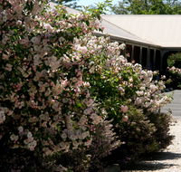 Wine Village Motor Inn - Kawana Tourism