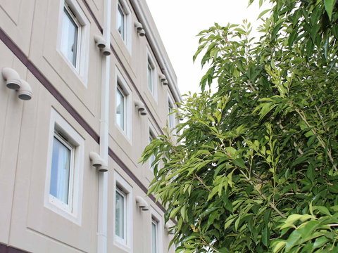 Ibis Newcastle - Kawana Tourism 1