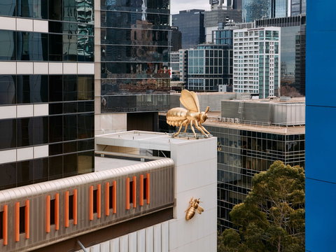 Mercure Newcastle - Kawana Tourism 15