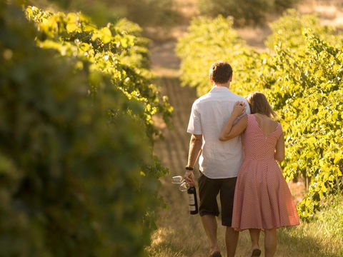 Novotel Barossa Valley Resort - Kawana Tourism 1