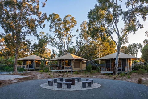 Discovery Parks Barossa Valley - Kawana Tourism 0