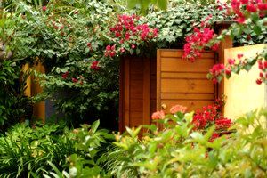 Pink Flamingo - Kawana Tourism 0