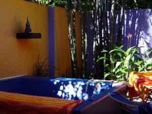 Pink Flamingo - Kawana Tourism 1