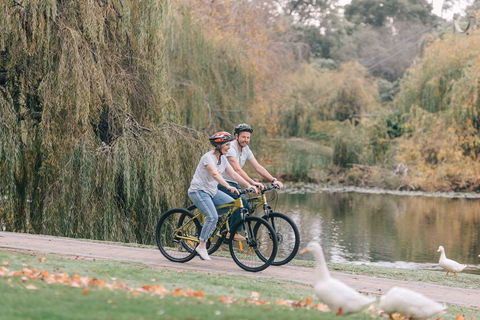 Country Club Villas - Kawana Tourism 6