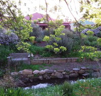 Frog Song at Willunga - Kawana Tourism