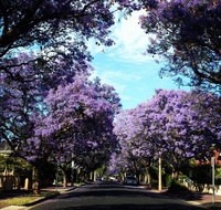 Monaco Court Apartment Adelaide - Kawana Tourism