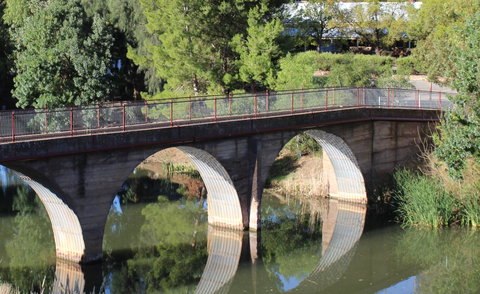 Hillside Cottage - Kawana Tourism 13